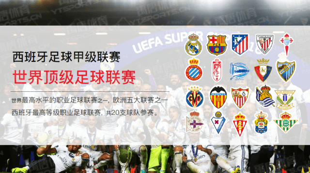 阵容结构大 阵容结构大